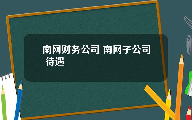 南网财务公司 南网子公司 待遇